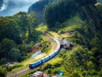 Reizen per trein is genieten van de rust en natuur. 